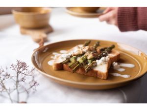 Trip Ware|美濃燒 再生陶器 深圓盤 (焦糖棕)