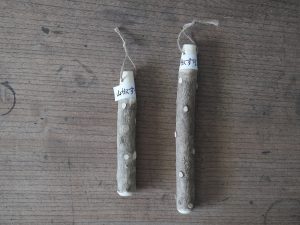 小柳產業｜日本製 山椒木磨杵