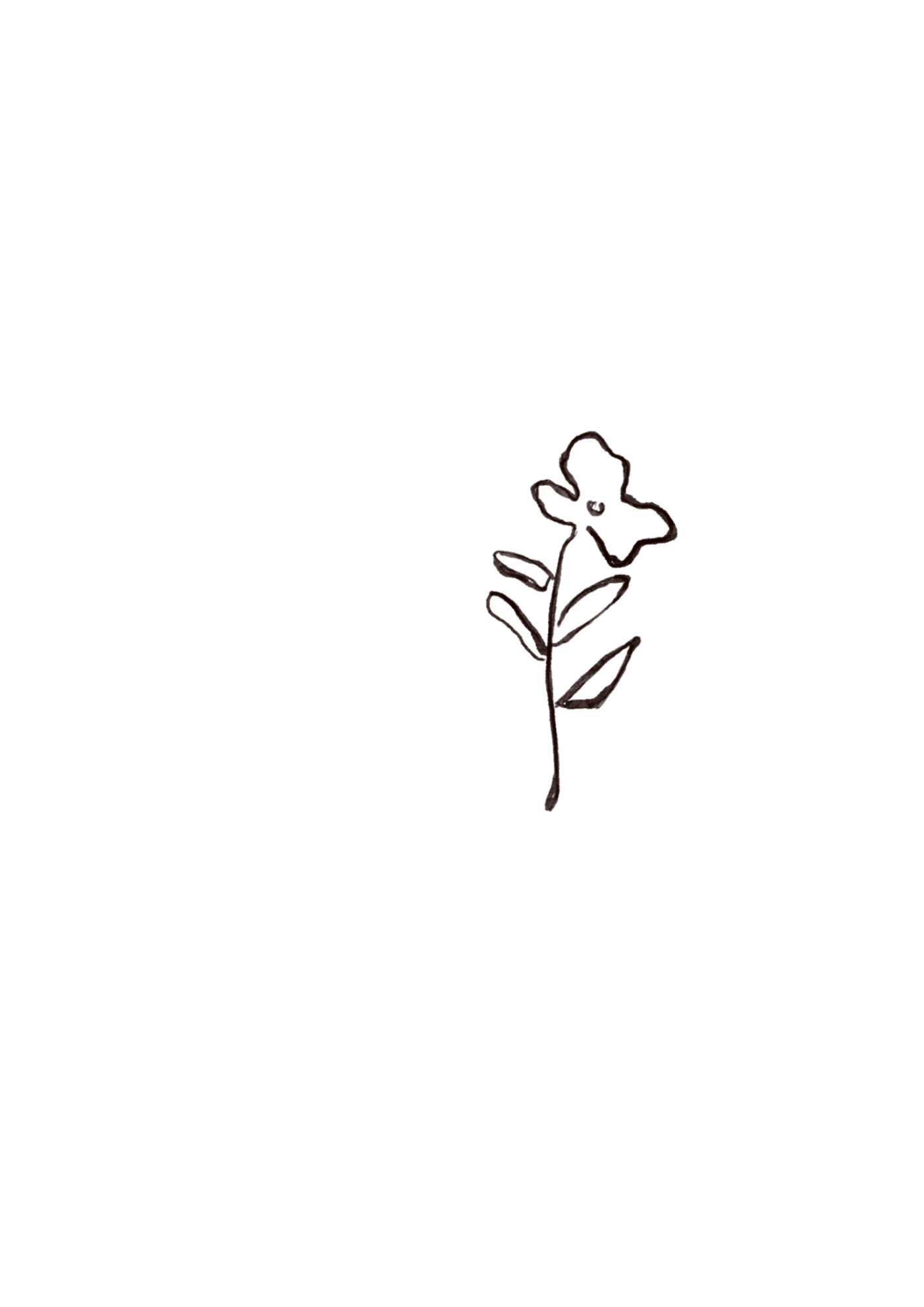 黑白花枝插畫